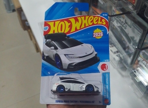 TOYOTA PRIUS CUSTOM