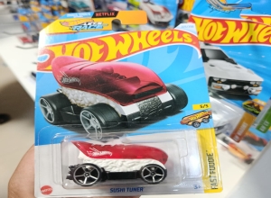 CARRO HW BASICO