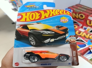 CARRO HW BASICO 1