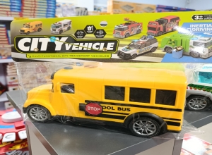 CARRO AUTOBUS CAMION
